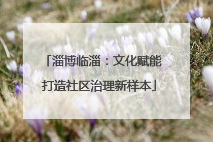 淄博临淄：文化赋能 打造社区治理新样本