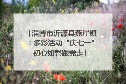 淄博市沂源县燕崖镇：多彩活动“庆七一” 初心如磐跟党走