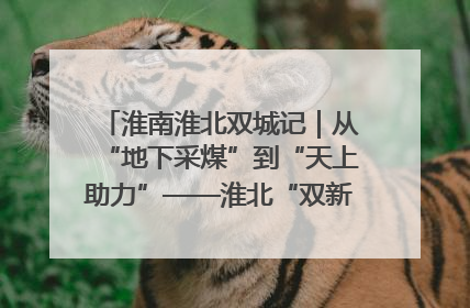 淮南淮北双城记｜从“地下采煤”到“天上助力”——淮北“双新”产业突围记