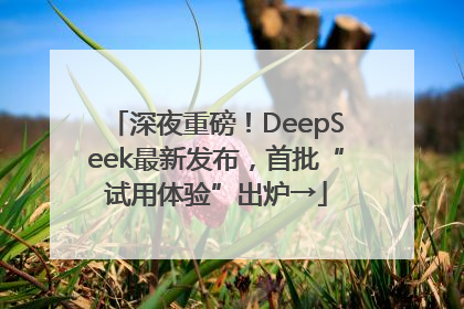 深夜重磅！DeepSeek最新发布，首批“试用体验”出炉→