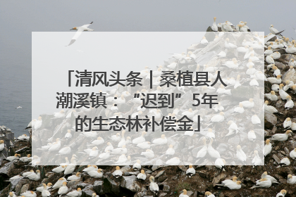 清风头条｜桑植县人潮溪镇：“迟到”5年的生态林补偿金