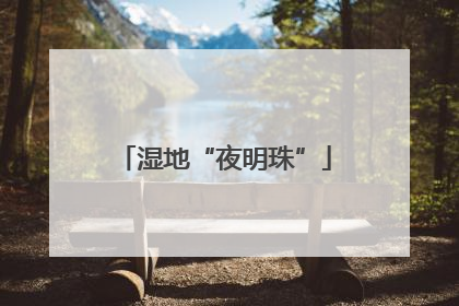 湿地“夜明珠”