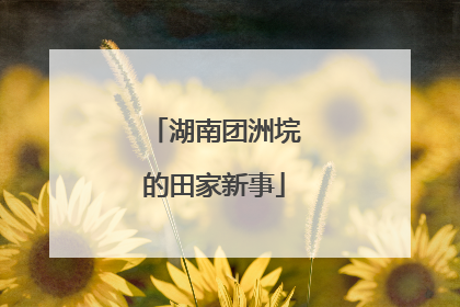 湖南团洲垸的田家新事