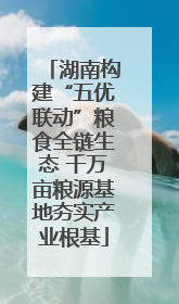 湖南构建“五优联动”粮食全链生态 千万亩粮源基地夯实产业根基