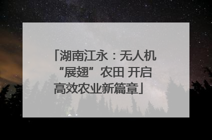 湖南江永：无人机“展翅”农田 开启高效农业新篇章
