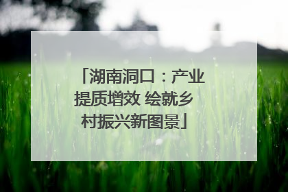 湖南洞口：产业提质增效 绘就乡村振兴新图景