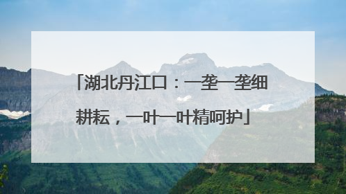 湖北丹江口:一垄一垄细耕耘,一叶一叶精呵护