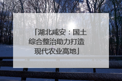 湖北咸安：国土综合整治助力打造现代农业高地