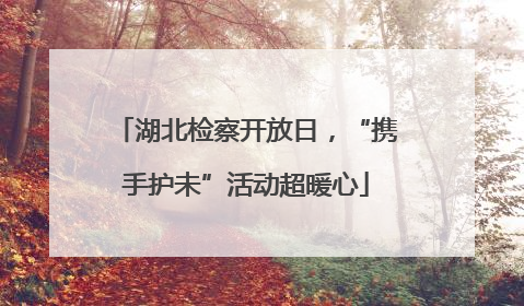 湖北检察开放日，“携手护未”活动超暖心