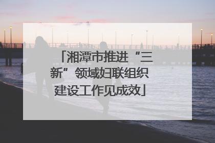 湘潭市推进“三新”领域妇联组织建设工作见成效