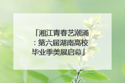 湘江青春艺潮涌：第六届湖南高校毕业季美展启幕