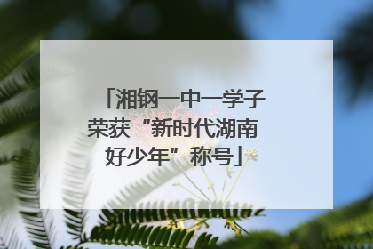 湘钢一中一学子荣获“新时代湖南好少年”称号