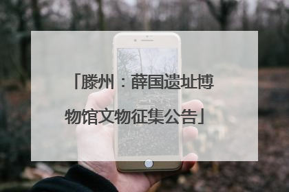 滕州：薛国遗址博物馆文物征集公告