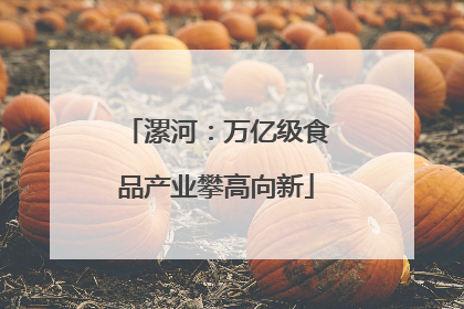漯河：万亿级食品产业攀高向新