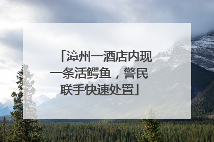 漳州一酒店内现一条活鳄鱼，警民联手快速处置