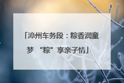 漳州车务段：粽香润童梦 “粽”享亲子情