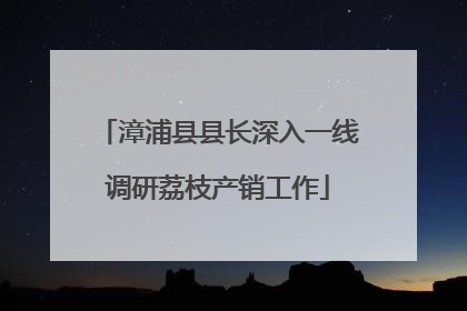 漳浦县县长深入一线调研荔枝产销工作