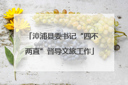 漳浦县委书记“四不两直”督导文旅工作