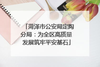 菏泽市公安局定陶分局：为全区高质量发展筑牢平安基石