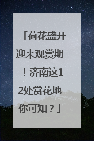 荷花盛开迎来观赏期！济南这12处赏花地你可知？