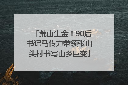 荒山生金！90后书记马传力带领张山头村书写山乡巨变
