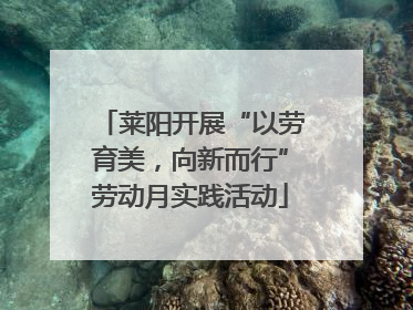 莱阳开展“以劳育美，向新而行”劳动月实践活动