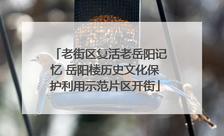 老街区复活老岳阳记忆 岳阳楼历史文化保护利用示范片区开街