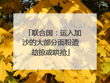 联合国：运入加沙的大部分面粉遭劫掠或哄抢
