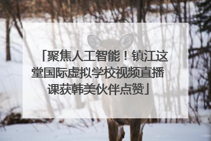 聚焦人工智能！镇江这堂国际虚拟学校视频直播课获韩美伙伴点赞