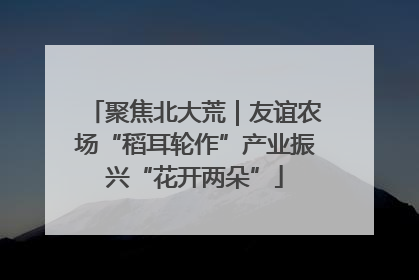 聚焦北大荒｜友谊农场“稻耳轮作”产业振兴“花开两朵”