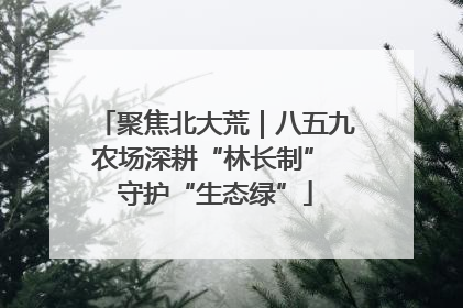 聚焦北大荒｜八五九农场深耕“林长制” 守护“生态绿”