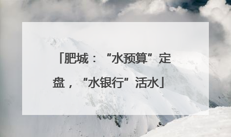 肥城：“水预算”定盘，“水银行”活水