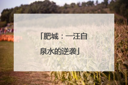 肥城：一汪自泉水的逆袭