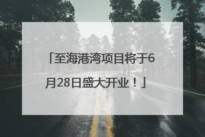 至海港湾项目将于6月28日盛大开业！