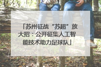 苏州征战“苏超”放大招：公开征集人工智能技术助力足球队
