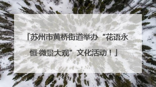 苏州市黄桥街道举办“花语永恒·微景大观”文化活动！