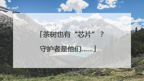 茶树也有“芯片”？守护者是他们……