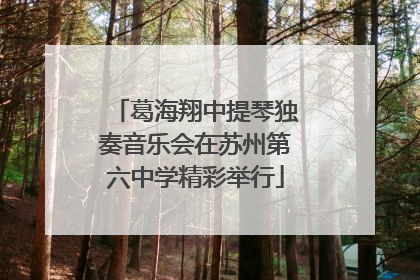 葛海翔中提琴独奏音乐会在苏州第六中学精彩举行