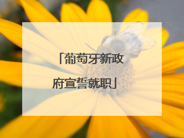 葡萄牙新政府宣誓就职