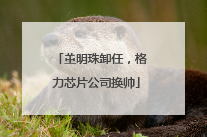 董明珠卸任，格力芯片公司换帅