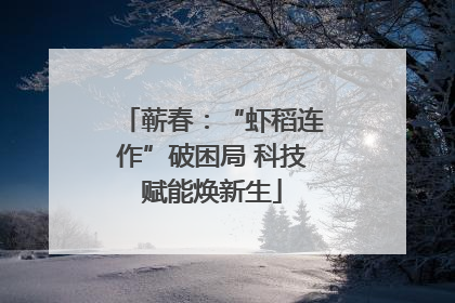 蕲春：“虾稻连作”破困局 科技赋能焕新生