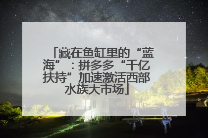 藏在鱼缸里的“蓝海”：拼多多“千亿扶持”加速激活西部水族大市场