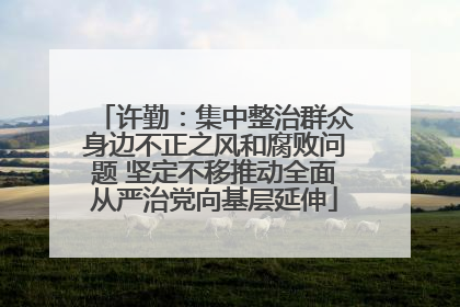 许勤：集中整治群众身边不正之风和腐败问题 坚定不移推动全面从严治党向基层延伸