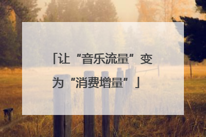 让“音乐流量”变为“消费增量”