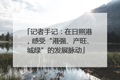 记者手记：在日照港，感受“港强、产旺、城绿”的发展脉动