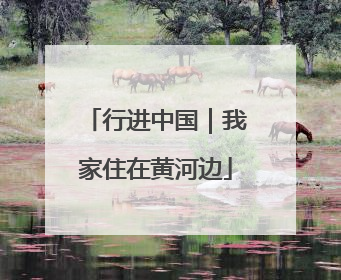 行进中国｜我家住在黄河边