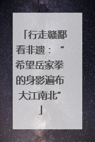 行走赣鄱看非遗：“希望岳家拳的身影遍布大江南北”