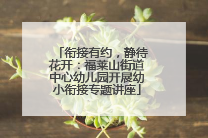 衔接有约，静待花开：福莱山街道中心幼儿园开展幼小衔接专题讲座