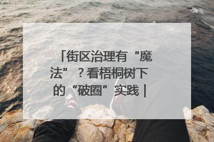 街区治理有“魔法”？看梧桐树下的“破圈”实践｜我在街区当书记