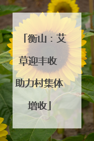 衡山：艾草迎丰收 助力村集体增收